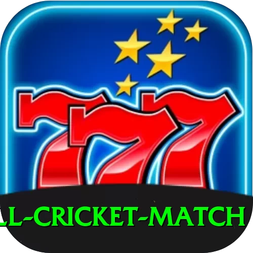 all cricket match Gold Edition v1.2.5 - 2