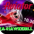 antigua hawksbill Games (Casino & Earning) Elite v2.3.1