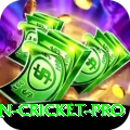 australian cricket - Mega Edition v4.6.3