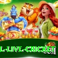 bpl live cricket Max v4.4.5