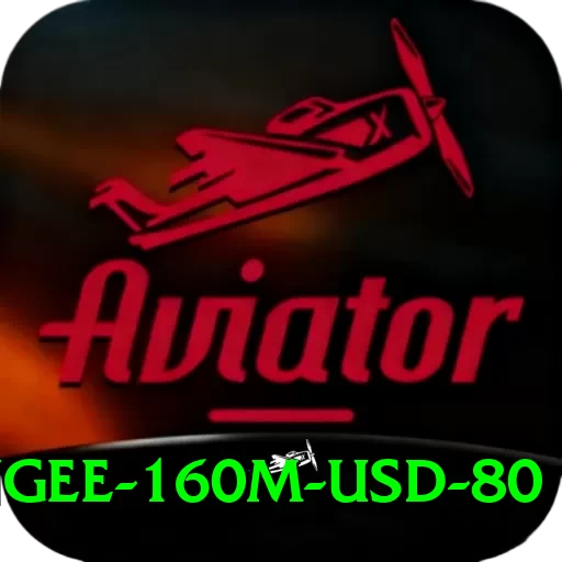 bungee 160m usd 80 Plus Edition v1.3.1 - 2