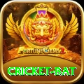 cricket bat Elite v2.3.3