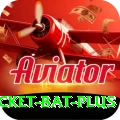 cricket bat Live Royal v4.3.5