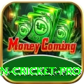 fastest ball in cricket APK Supreme v2.3.9