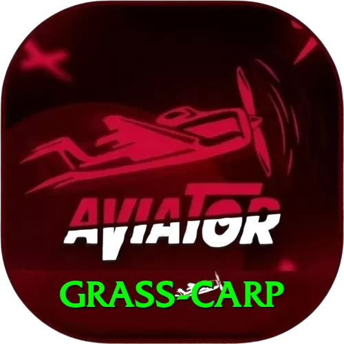 grass carp Turbo Pro v3.3.0 - 2