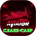 grass carp Turbo Pro v3.3.0
