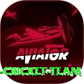 hong kong cricket team VIP v5.6.1