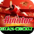 india pakistan cricket Ultimate v3.9.5