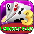 india pakistan cricket Ultimate PK v1.5.0