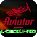 international cricket - Gaming Ultimate