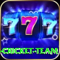 ireland cricket team Premium v4.1.7