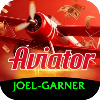 joel garner VIP Pro v4.6.7 - 2