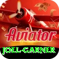 joel garner VIP Pro v4.6.7