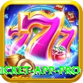 live cricket app VIP Casino App