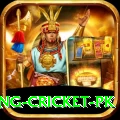 make money betting cricket pk Premium Edition v2.3.8