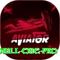 mobile cric Pro - Win Real PKR