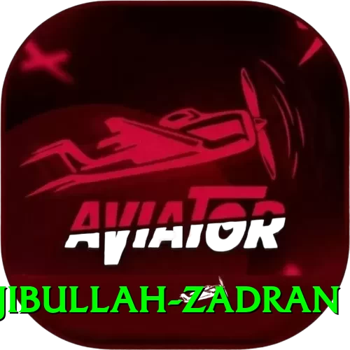najibullah zadran Gold Edition v1.5.9 - 2