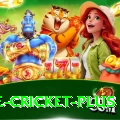 one cricket Games Plus