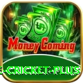 online cricket Super APK v2.4.8