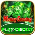 play cricket Plus v1.9.7