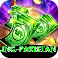 responsible gambling pakistan Pro Edition v1.9.8