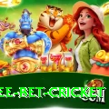 risk free bet cricket Apps (Tools & Injectors) Elite v4.0.2