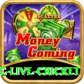 smartcric live cricket Pro v3.6.9