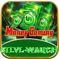 steve waugh Plus Edition v5.2.9