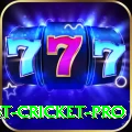 test cricket APK King v4.4.3