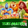 test match Max v3.8.2