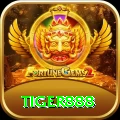 tiger888 Plus Edition v3.7.0