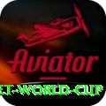 u19 cricket world cup Pro v1.2.5