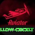 willow cricket Premium v2.6.6