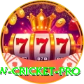 willow cricket Live Casino Premium