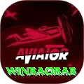 winbaobab Pro Edition v2.5.4
